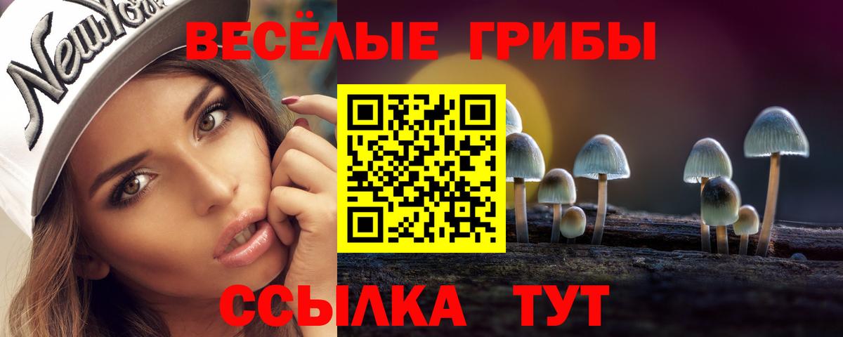 Галлюциногенные грибы Cubensis  Вход с VPN  Симферополь 